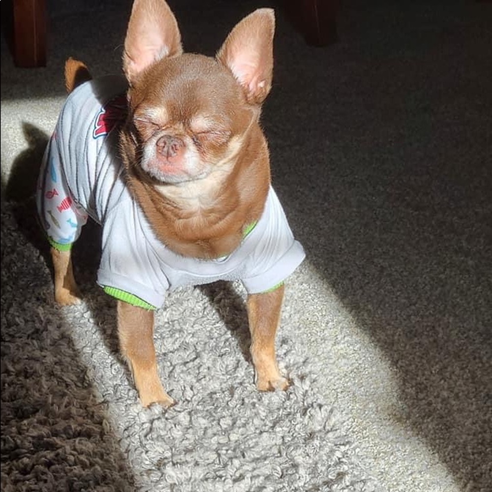 Trade for @buttercup555 only